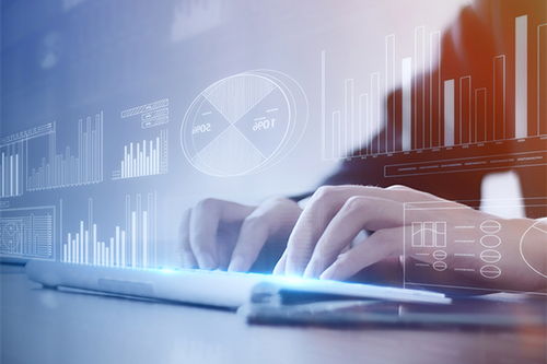 头位信息 科技中介服务驱动信息高效流通常态化